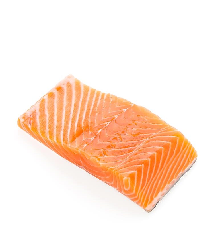 Salmon